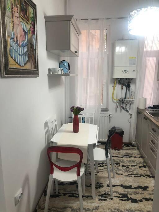 בוקרשט Dumbrava Rosie - Ultracentral Historical Residence מראה חיצוני תמונה